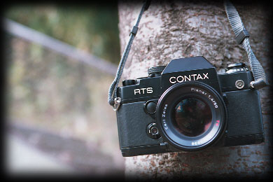 p50.jpg (27995 �o�C�g)