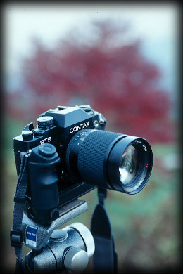 tproof-4.jpg (19452 �o�C�g)