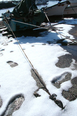 rvp1.jpg (34848 �o�C�g)