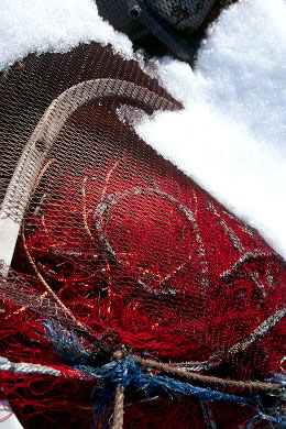 rvp2.jpg (90909 �o�C�g)