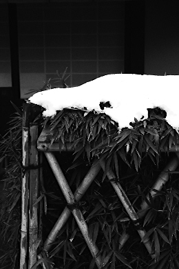 Scan3253.jpg (47500 �o�C�g)