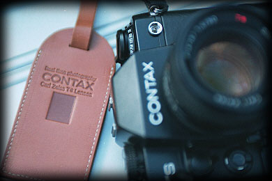 flower.jpg (49180 �o�C�g)