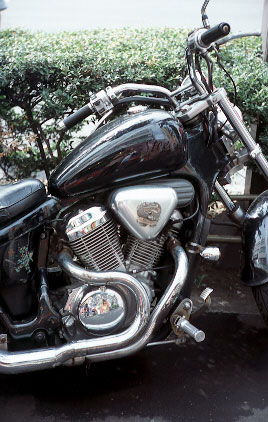 Scan5250.jpg (45512 �o�C�g)