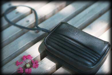 t-11.jpg (19027 �o�C�g)