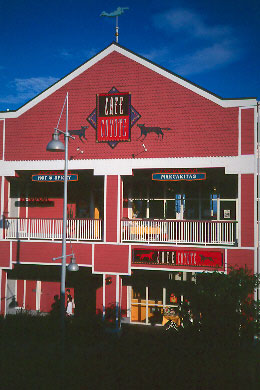 coyote-rvp.jpg (35322 �o�C�g)