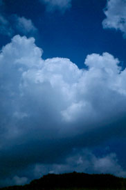 exp1.jpg (7593 �o�C�g)