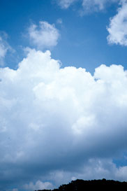 exp3.jpg (8143 �o�C�g)