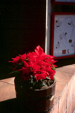 Scan2982.jpg (25822 �o�C�g)