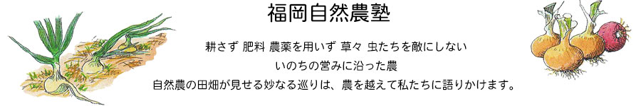 �������R�_�m�w�b�_�[