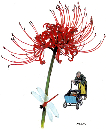 �e���r��������