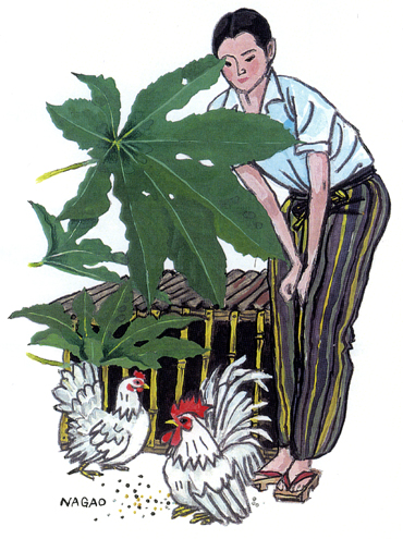 ���{���̒���