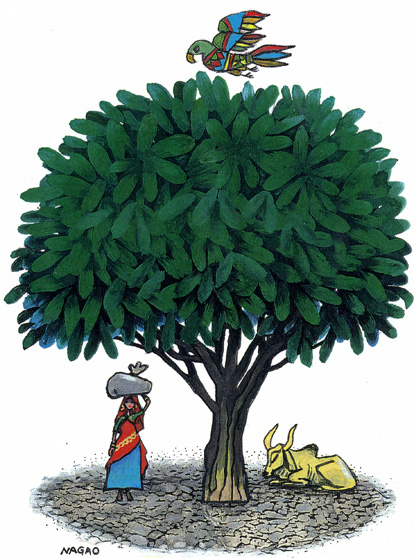 �J�j���}�P��