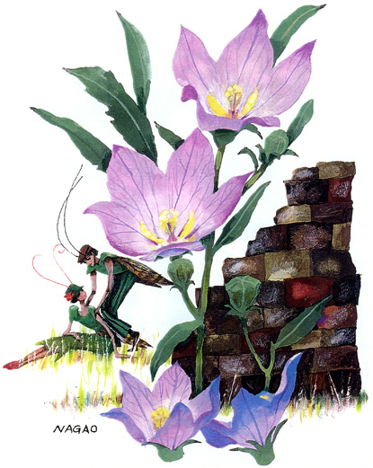 �ۂ̓����L�y����