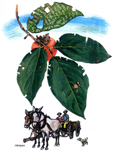 �`�̓u���W���ł�