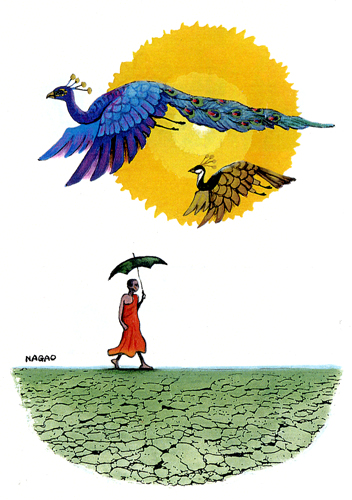 ����̃A�����J