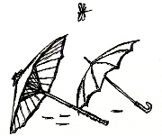 �A�����J�l�͉J�Ȃ�