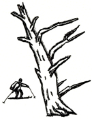 �s�����󕠓�ꂵ���t