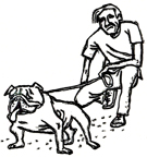 �^�����T���O���X�́c�c