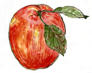 �Ìy�̂�񂲁@�������̎q�G