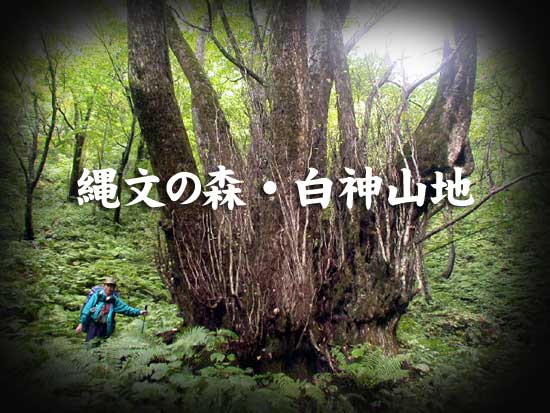 �ꕶ�̐X�E���_�R�n