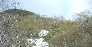 �R����O��
��M����ӂ肩��
�o�������B