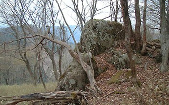 �₪�ۂ�ۂ�