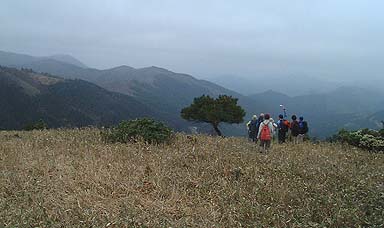 ���̎��͂܂��~���Ă��Ȃ�