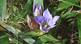 �����h�E