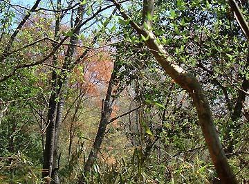 �R������1