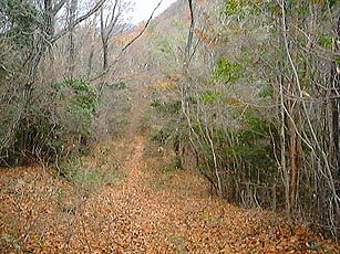 ��܂݂��@�P