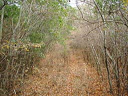 ��܂݂��@�Q