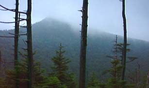 ���o���x