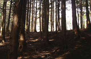 ���k����̈ƕ�