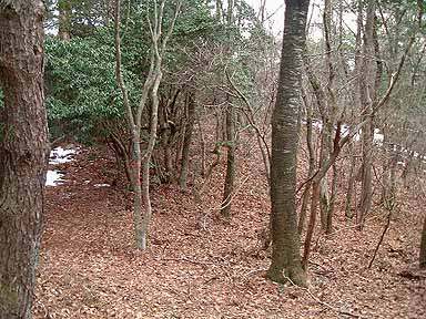 �W����600m�̕��R��