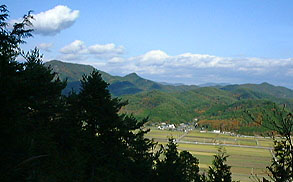 ���c���R