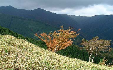 �����R����