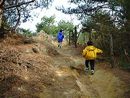 �X�e�S�U�E���X�̊�