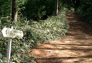 �u���k�v���w�����W