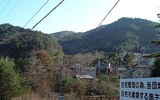 �u�͂��̑�v