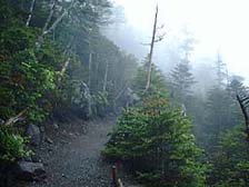 �ؒ�����ėт̓o�蓹