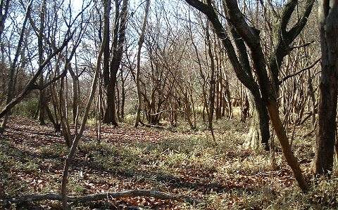 �R���k�̈ƕ�