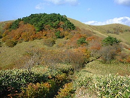 �T�T�̃h�[��