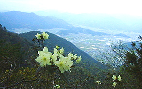 �������F�O��