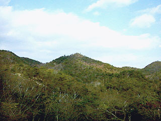 ���̒뉀�u����