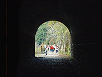 �g���l��