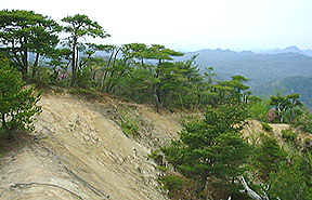 �����܂W�]��