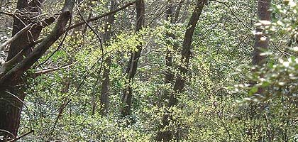 �R���̓��Ŏ�t