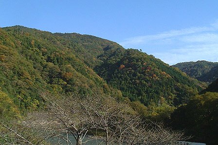 �ǂ�����