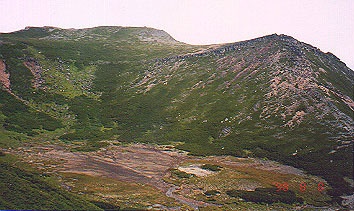 �l�m�r�z���Ɍp�q�x