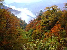 �h���C�u�E�F�C